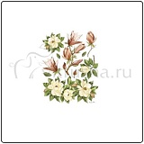Бумага для декупажа Evasioni 30*42 см, Магнолия