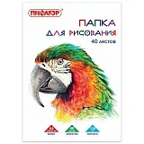 Папка для рисования, А4, 210х297 мм, 40 л., ПИФАГОР, внутренний блок 120 г/м2